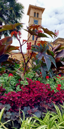 7116 - Floral time - PHOTO OF THE MONTH