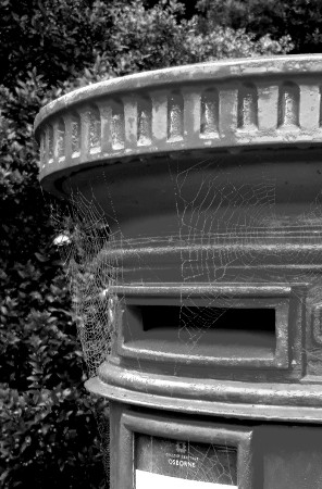 598J - Autumn Webs