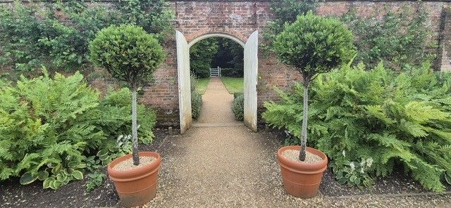 Walled Garden Drinks Party
